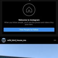 Wild Bird House ico