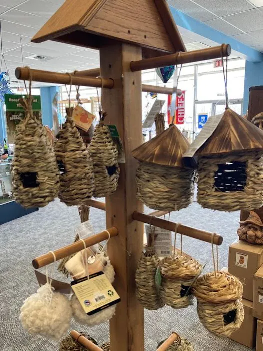 Wild Bird House Picture 10