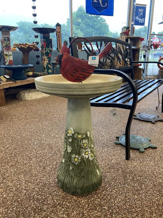 Wild Bird House Picture 5