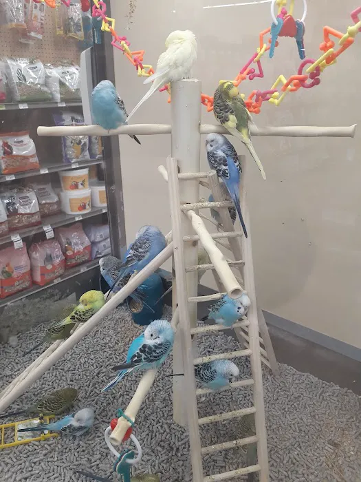 Petco Picture 1