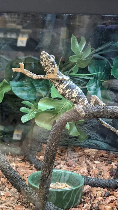 Petco Picture 8
