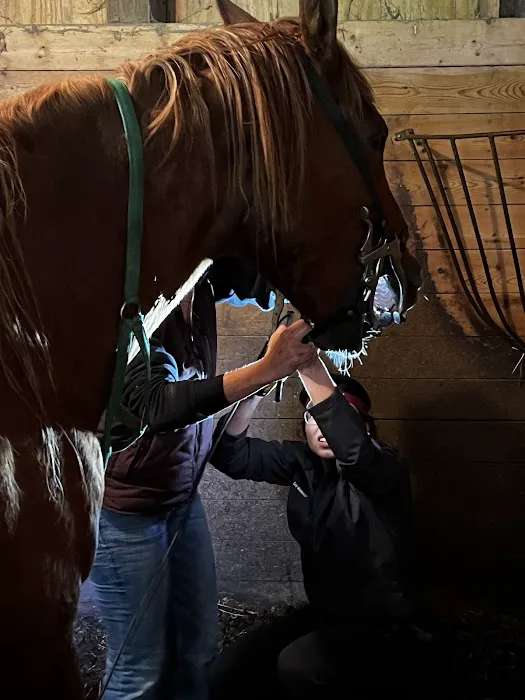 Leatherstocking Equine Center Picture 3