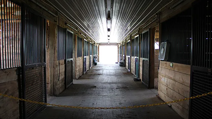 Leatherstocking Equine Center Picture 7