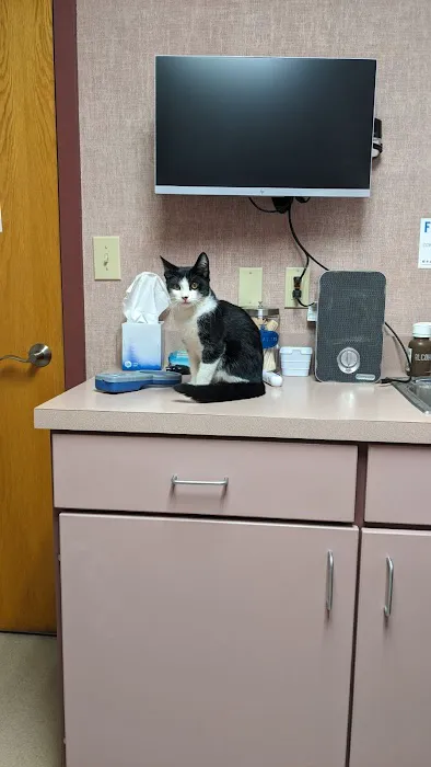 VCA Hamilton Animal Hospital Picture 5