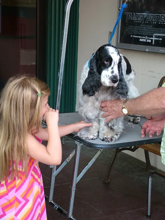 VCA Hamilton Animal Hospital Picture 9