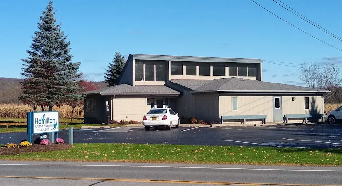 VCA Hamilton Animal Hospital Picture 10