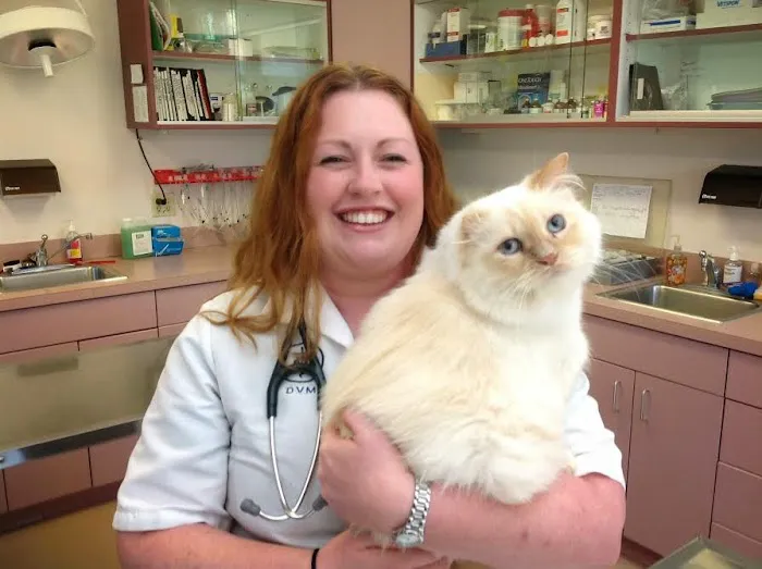 VCA Hamilton Animal Hospital Picture 8