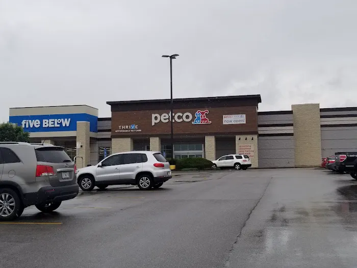 Petco Picture 4