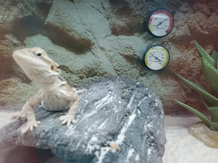 Petco Picture 10