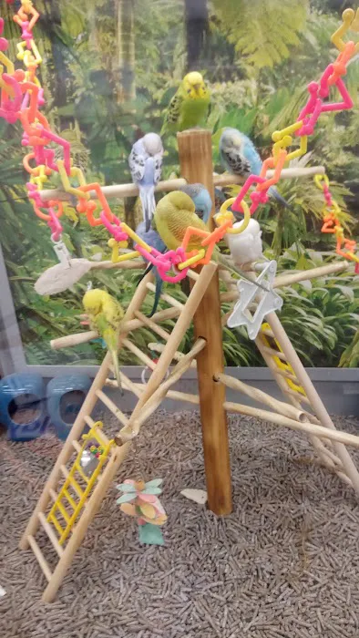 Petco Picture 6