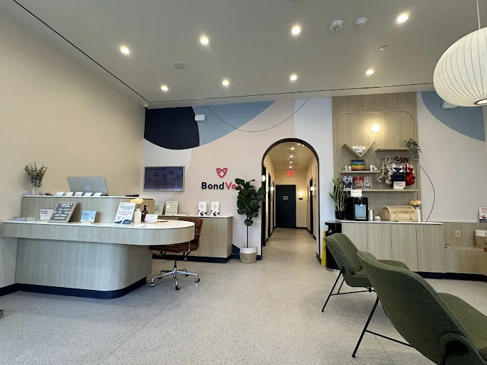 Bond Vet - Rye Brook Picture 7