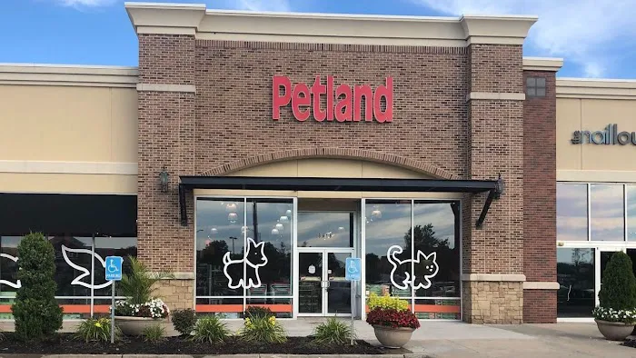 Petland North Kansas City Picture 4