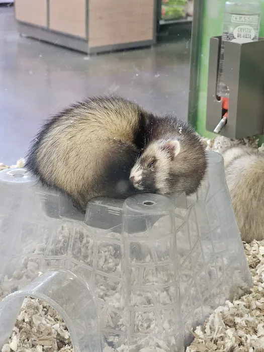 Petco Picture 3
