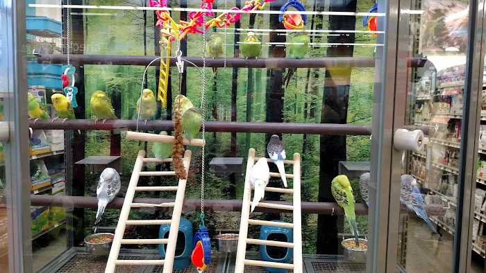 Petco Picture 2