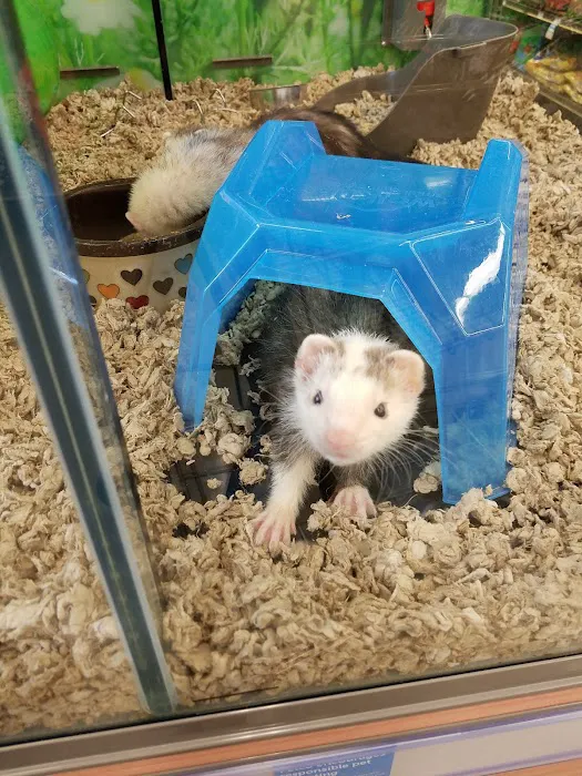 Petco Picture 7