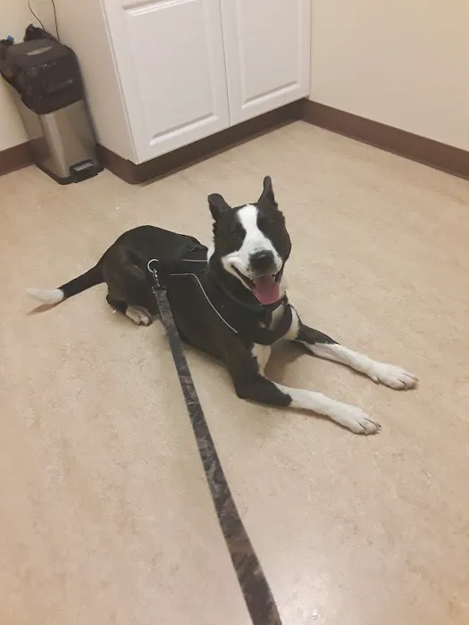 Valley Veterinary Services Picture 1