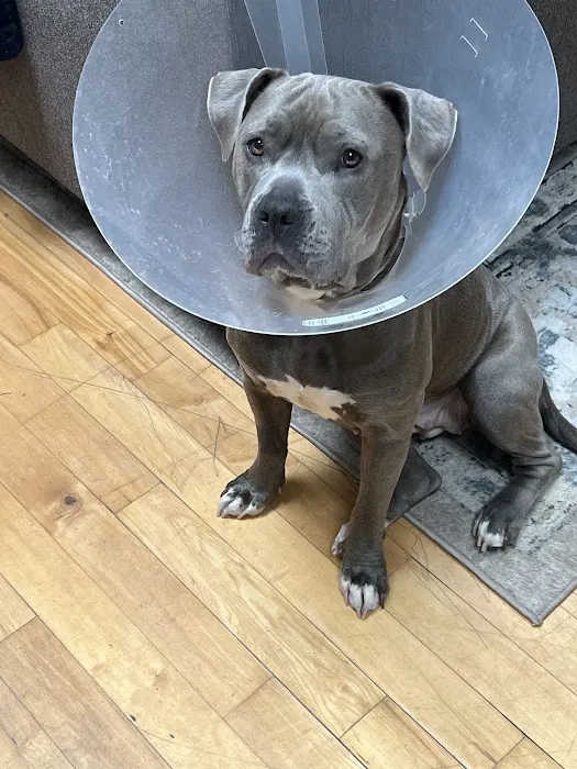Valley Veterinary Services Picture 9