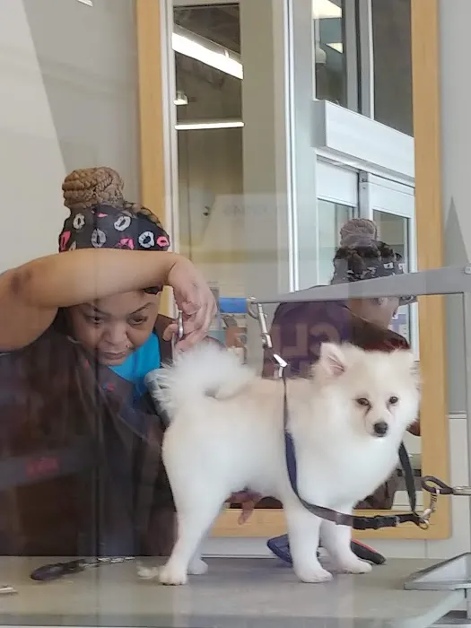 Petco Picture 1