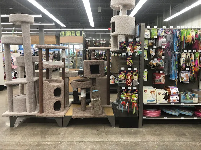Petco Picture 8