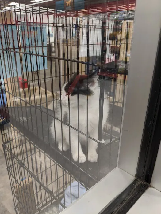 Petco Picture 2