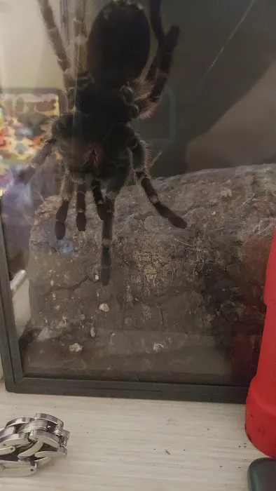 Petco Picture 7