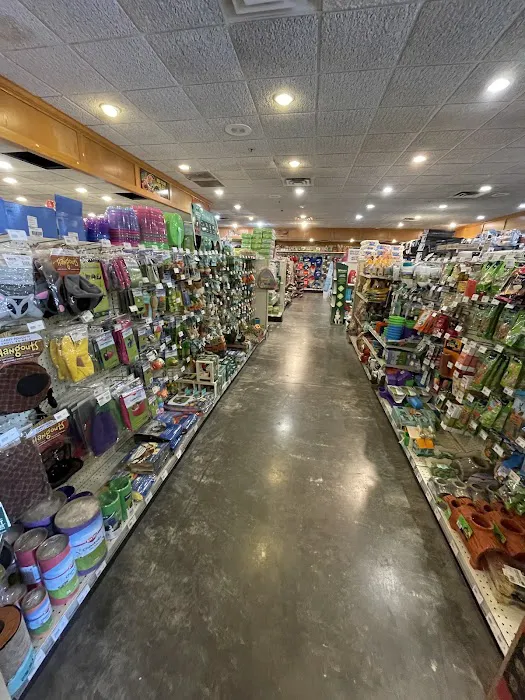 Miles of Exotics Picture 1