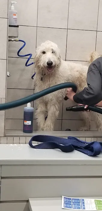 Pet Supplies Plus Lenexa Picture 3