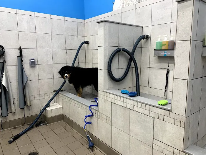 Pet Supplies Plus Lenexa Picture 5