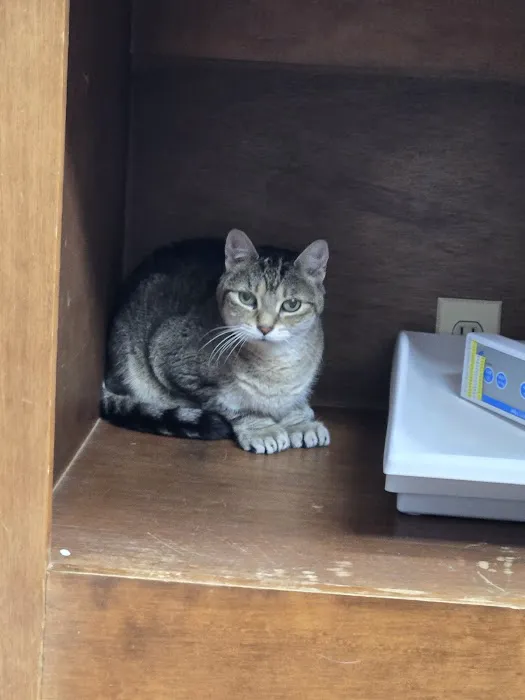 Burlington Veterinary Center Picture 9