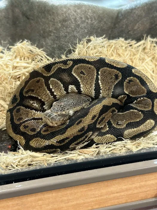 Petco Picture 10
