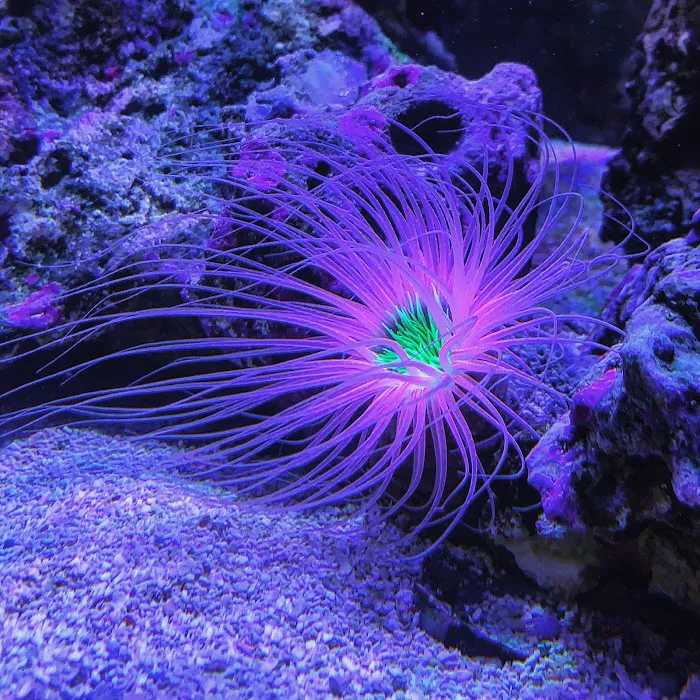 KC Aquatic Solutions Picture 2