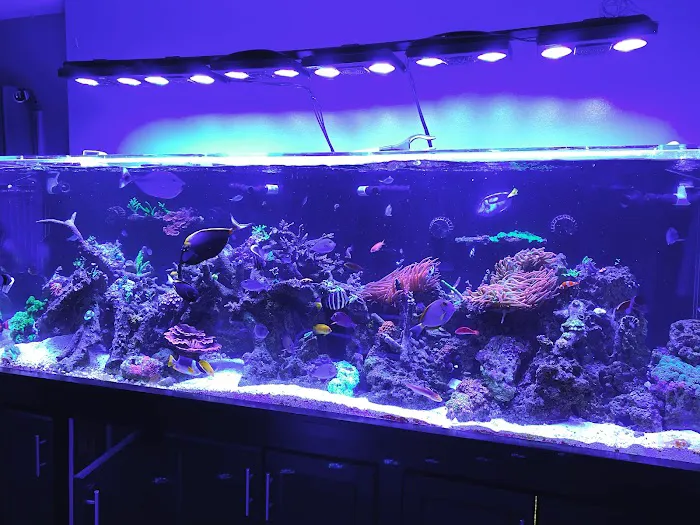KC Aquatic Solutions Picture 4