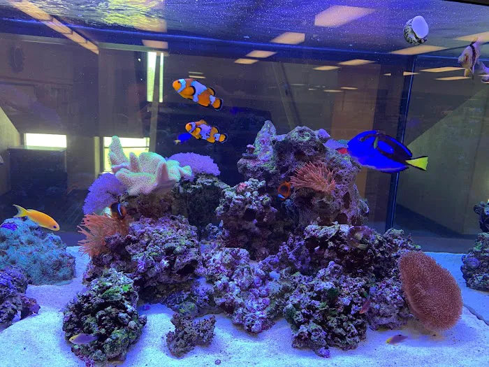 KC Aquatic Solutions Picture 1