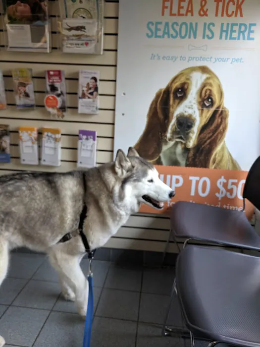 Chippens Hill Veterinary Hospital Picture 2