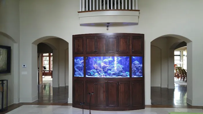 Picasso Exotic Aquatics Picture 10