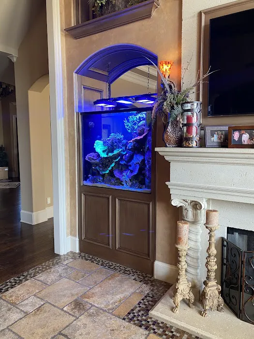 Picasso Exotic Aquatics Picture 2