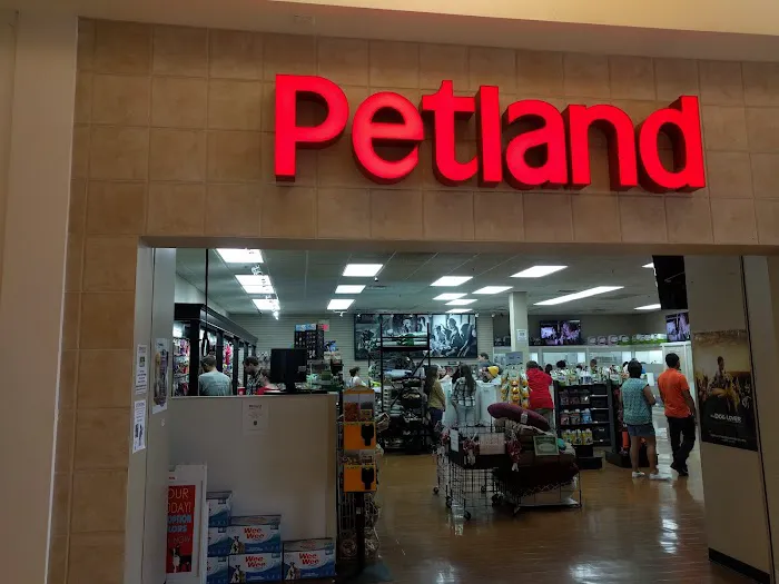Petland Independence Picture 1