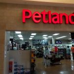 Petland Independence