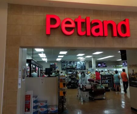 Petland Independence