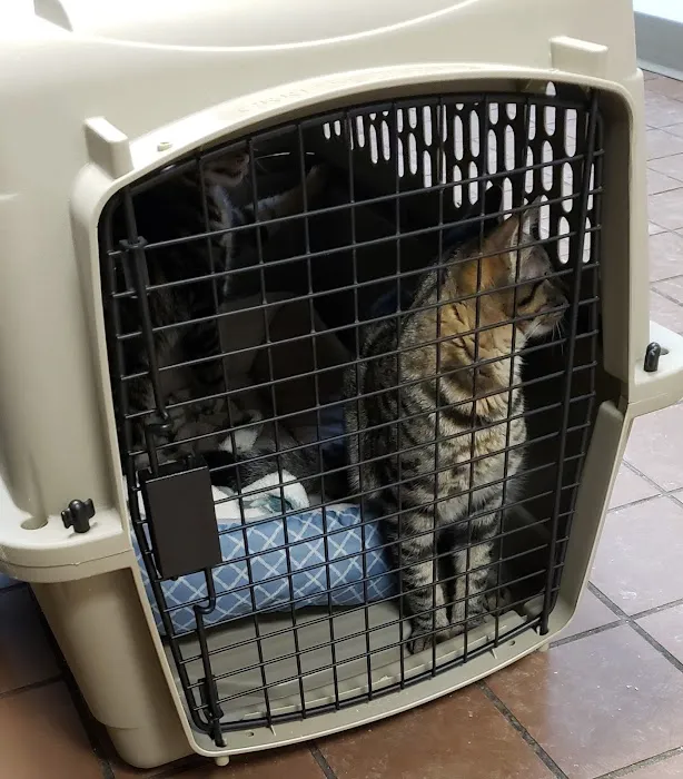 VCA Bristol Animal Hospital Picture 8