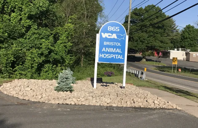 VCA Bristol Animal Hospital Picture 7