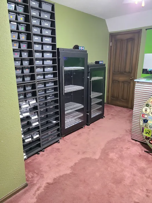 Celtic Balls LLC (Appointment Required) Picture 5