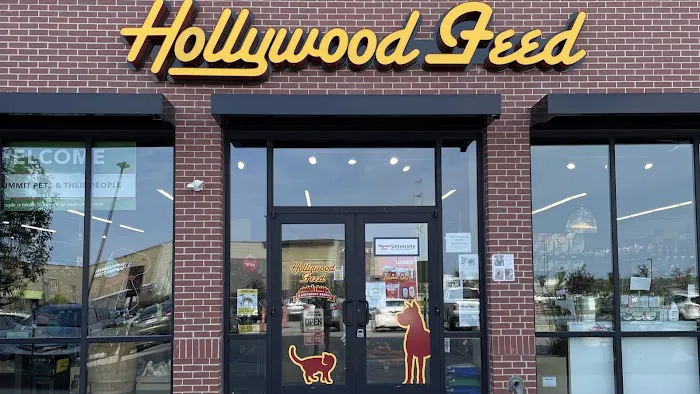 Hollywood Feed Picture 3