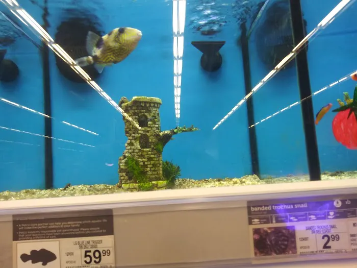Petco Picture 9