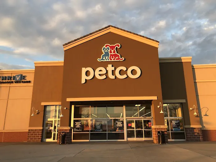 Petco Picture 4