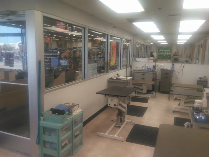 Petco Picture 2