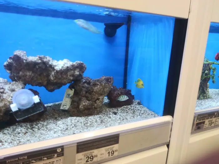 Petco Picture 7