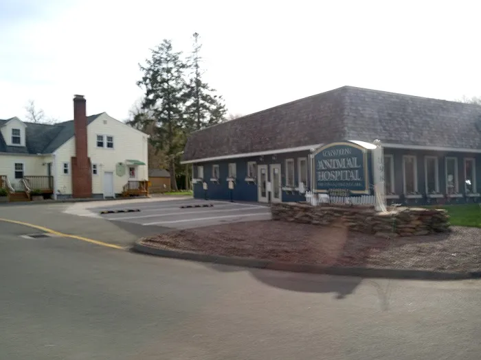 Canton Animal Hospital LLC Picture 2