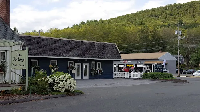 Canton Animal Hospital LLC Picture 6