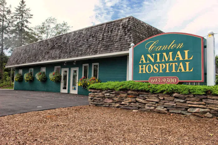 Canton Animal Hospital LLC Picture 8